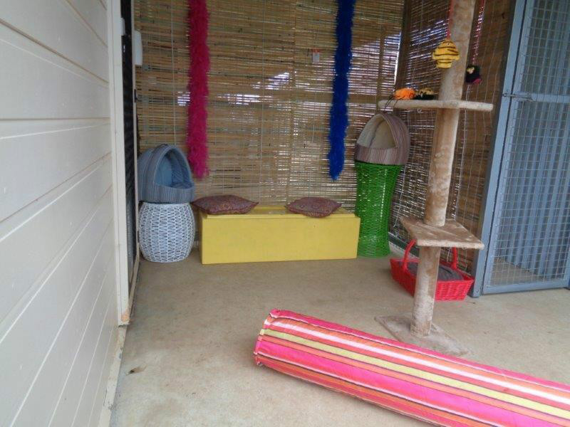 Cattery external play area