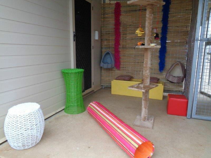 Cattery outside area