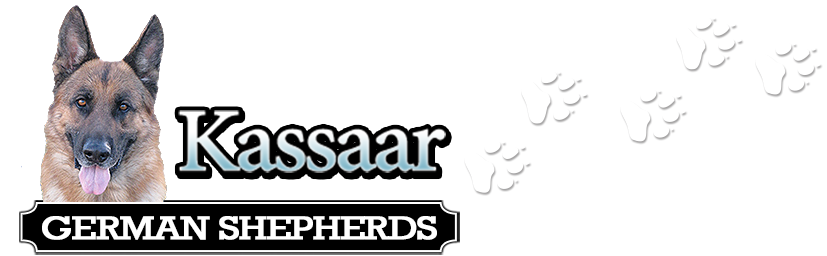 Kassaar Logo